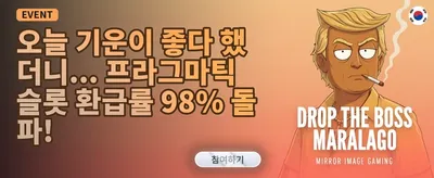 인기 슬롯 200회 무료 스핀 증정 promotion